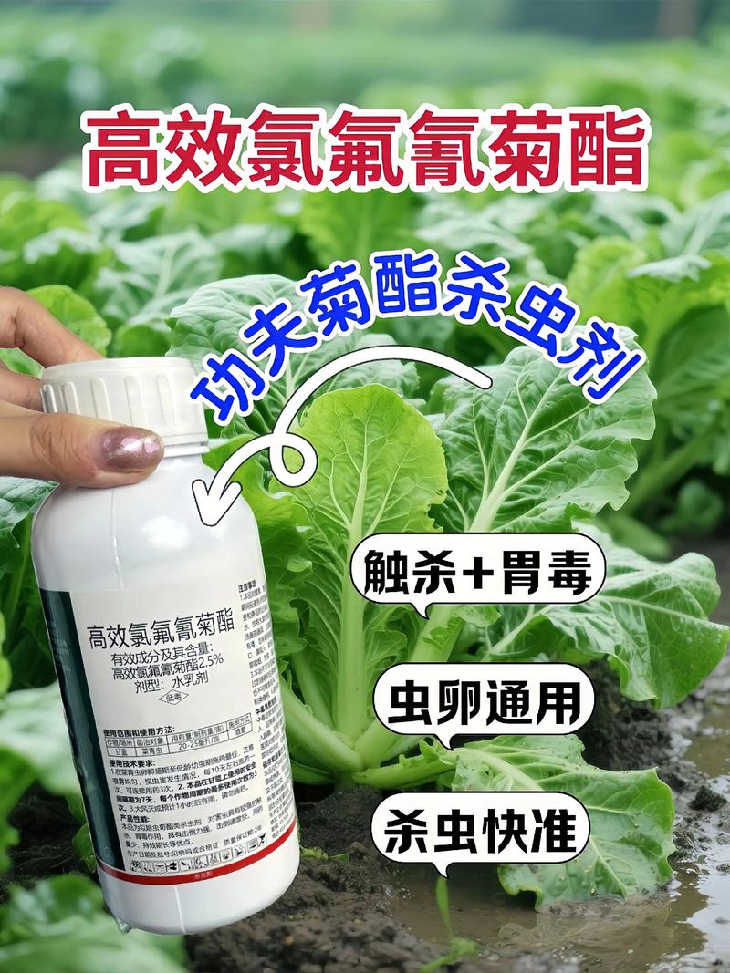 合肥代生中心:农药对供卵代生妈妈的危害